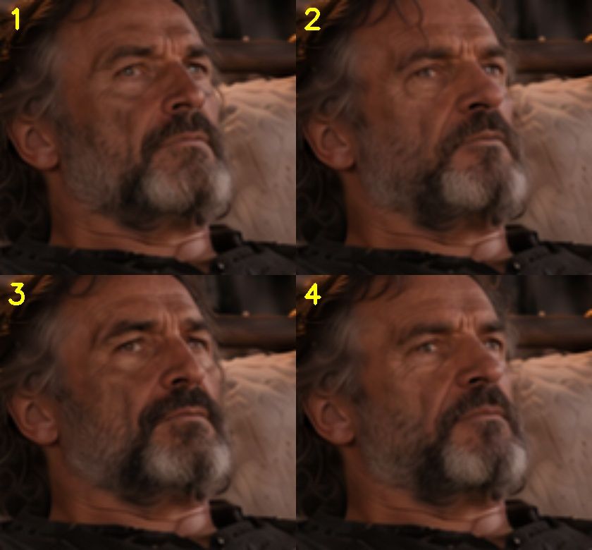 Four variants of the veteran's gaze